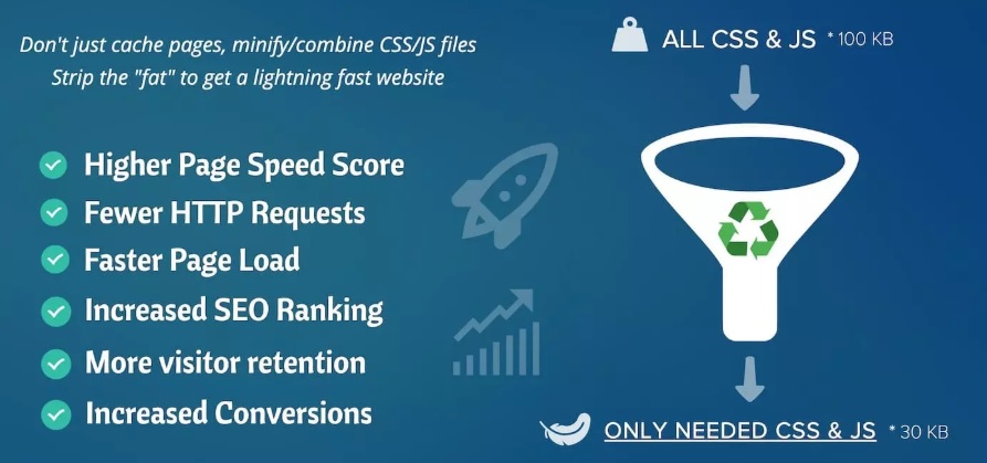 ASSET CLEANUP PRO - BEST PERFORMANCE WORDPRESS PLUGIN-www-blackvol-com.jpg