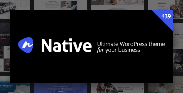 NATIVE - STYLISH MULTI-PURPOSE CREATIVE WP THEME-www-blackvol-com.png