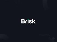 BRISK - MULTI-PURPOSE ELEMENTOR WP THEME BRISK5-www-blackvol-com.png