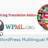 WPML String Translation Addon