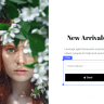 Brave - Drag n Drop WordPress Popup, Optin, Lead Gen & Survey Builder