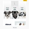 Astra Premium Sites - Ready to Import Starters Website Nulled + 168 Demo