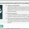 W3 Total Cache Pro Nulled