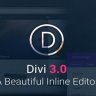 Elegant Theme Divi WordPress Theme