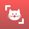 Cat Scanner Breed Recognition APK